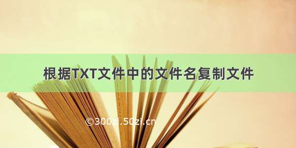 根据TXT文件中的文件名复制文件