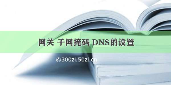 网关 子网掩码 DNS的设置