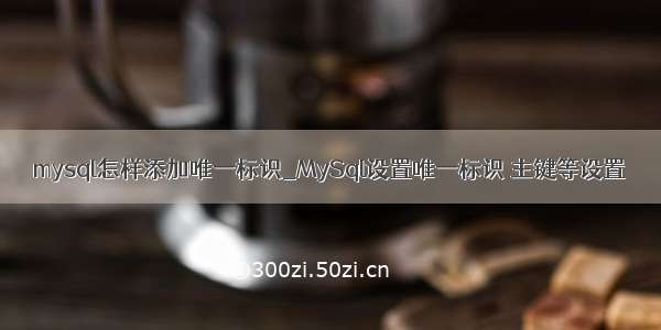 mysql怎样添加唯一标识_MySql设置唯一标识 主键等设置