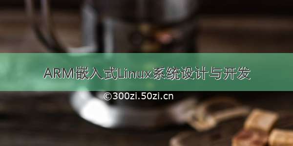 ARM嵌入式Linux系统设计与开发