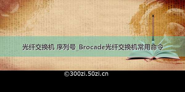 光纤交换机 序列号_Brocade光纤交换机常用命令