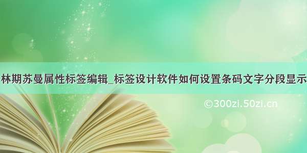 林期苏曼属性标签编辑_标签设计软件如何设置条码文字分段显示