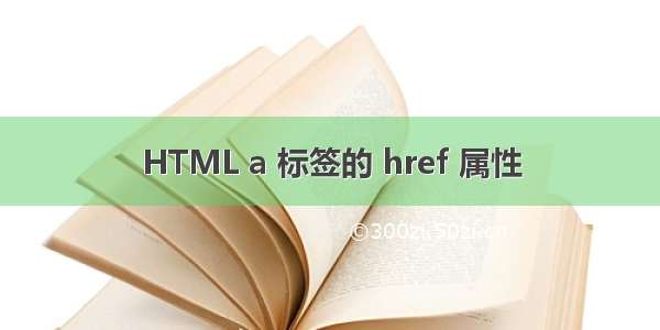 HTML a 标签的 href 属性