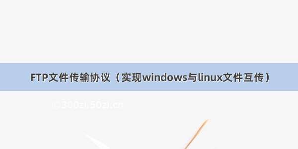 FTP文件传输协议（实现windows与linux文件互传）