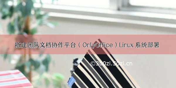 搭建团队文档协作平台（OnlyOffice）Linux 系统部署