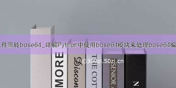 python 文件流转base64_详解Python中使用base64模块来处理base64编码的方法