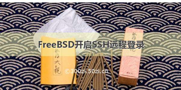 FreeBSD开启SSH远程登录