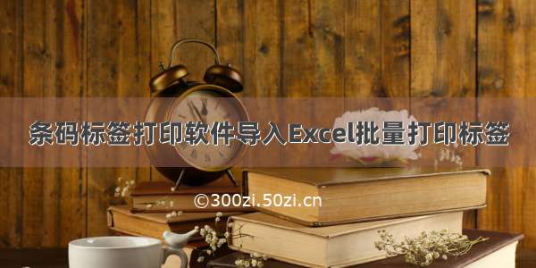 条码标签打印软件导入Excel批量打印标签