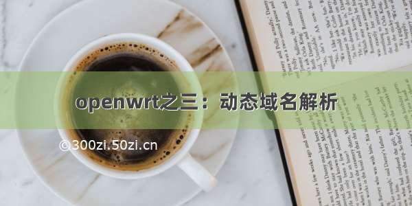 openwrt之三：动态域名解析