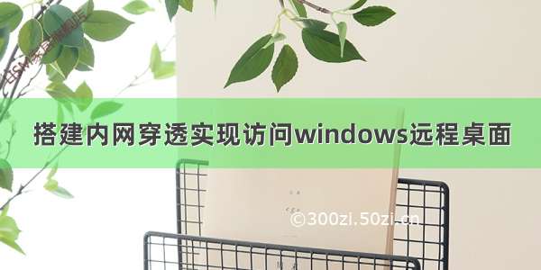 搭建内网穿透实现访问windows远程桌面