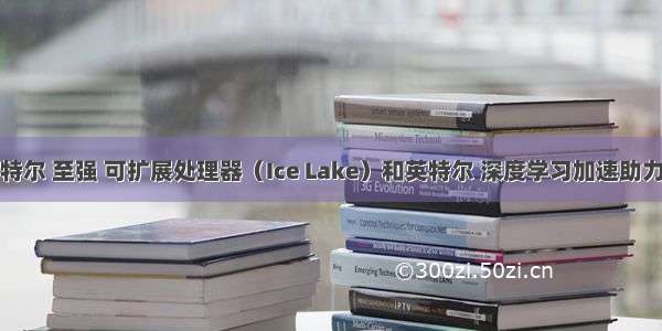 第三代英特尔 至强 可扩展处理器（Ice Lake）和英特尔 深度学习加速助力阿里巴巴