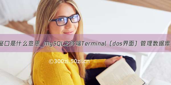mysql的终端窗口是什么意思_MySQL之终端Terminal（dos界面）管理数据库 数据表 数据