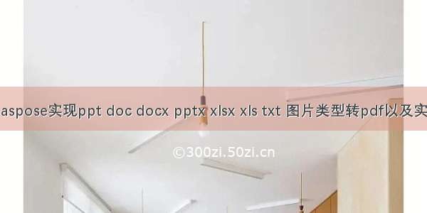 利用aspose实现ppt doc docx pptx xlsx xls txt 图片类型转pdf以及实现预