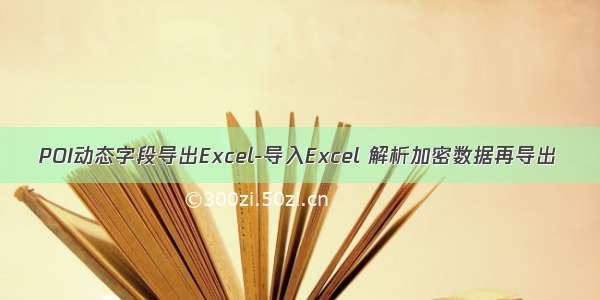 POI动态字段导出Excel-导入Excel 解析加密数据再导出