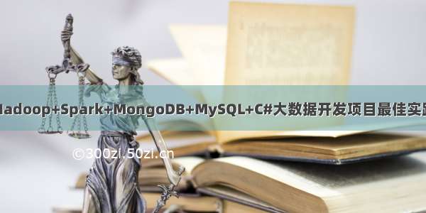 Hadoop+Spark+MongoDB+MySQL+C#大数据开发项目最佳实践