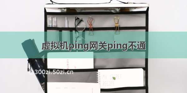 虚拟机ping网关ping不通