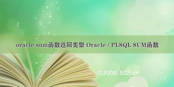 oracle sum函数返回类型 Oracle / PLSQL SUM函数