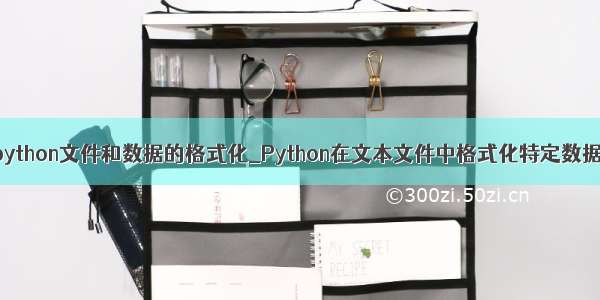 python文件和数据的格式化_Python在文本文件中格式化特定数据