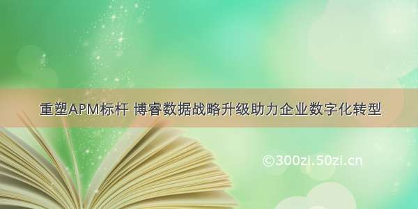 重塑APM标杆 博睿数据战略升级助力企业数字化转型