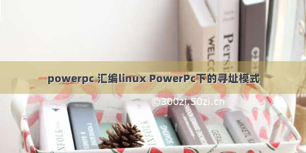powerpc 汇编linux PowerPc下的寻址模式