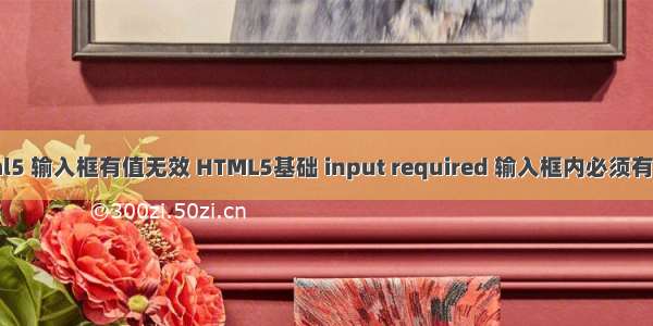 html5 输入框有值无效 HTML5基础 input required 输入框内必须有内容