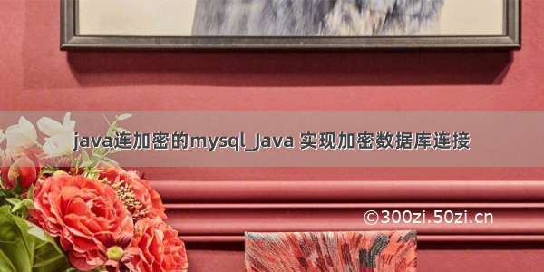 java连加密的mysql_Java 实现加密数据库连接