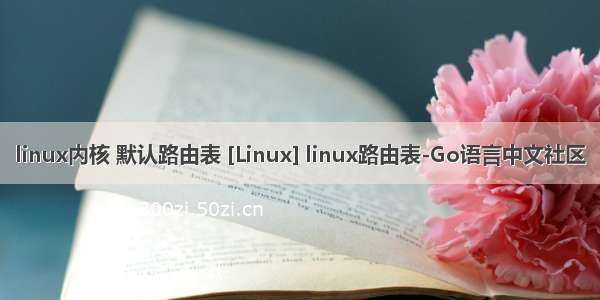 linux内核 默认路由表 [Linux] linux路由表-Go语言中文社区