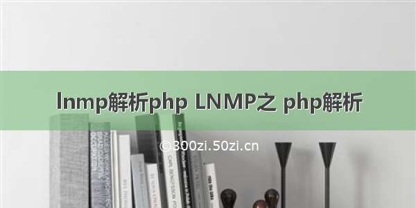 lnmp解析php LNMP之 php解析