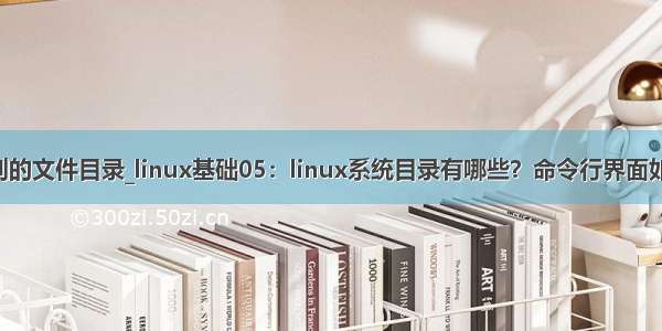 linux临时挂载别的文件目录_linux基础05：linux系统目录有哪些？命令行界面如何切换目录？...