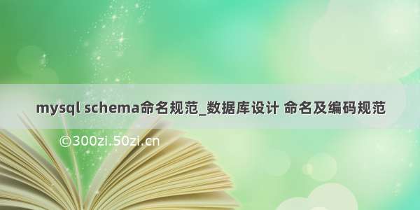 mysql schema命名规范_数据库设计 命名及编码规范