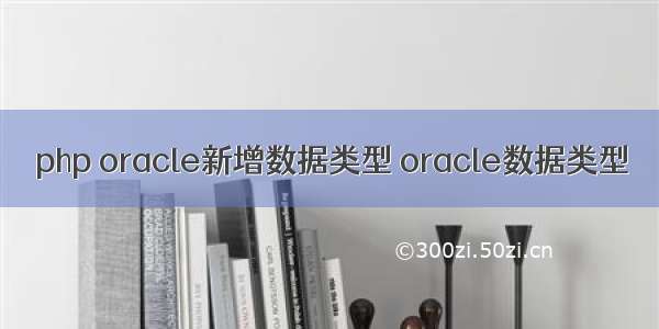 php oracle新增数据类型 oracle数据类型