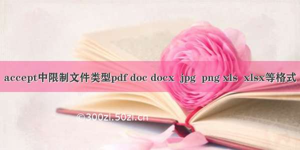 accept中限制文件类型pdf doc docx  jpg  png xls  xlsx等格式