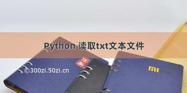 Python 读取txt文本文件