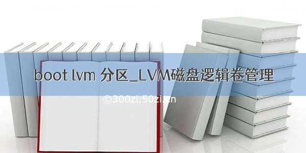 boot lvm 分区_LVM磁盘逻辑卷管理