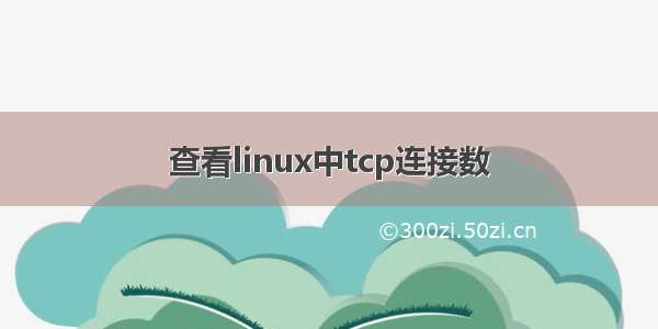 查看linux中tcp连接数