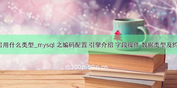 mysql编号用什么类型_mysql 之编码配置 引擎介绍 字段操作 数据类型及约束条件...