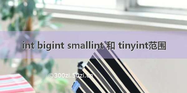 int bigint smallint 和 tinyint范围