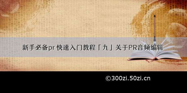 新手必备pr 快速入门教程「九」关于PR音频编辑