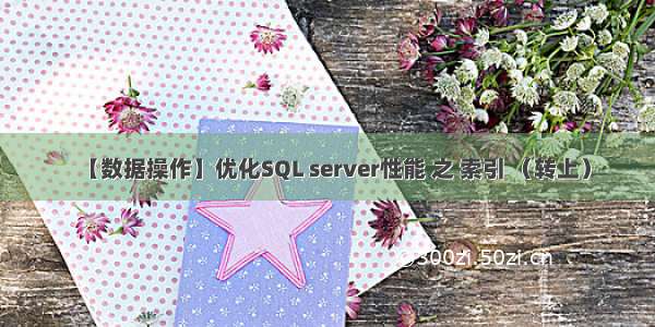 【数据操作】优化SQL server性能 之 索引 （转上）