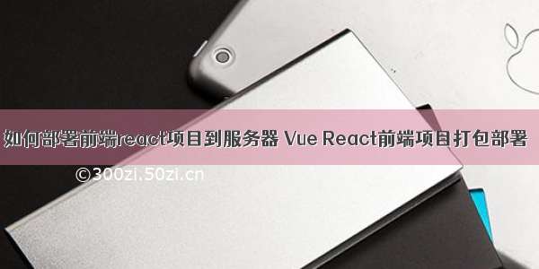 如何部署前端react项目到服务器 Vue React前端项目打包部署