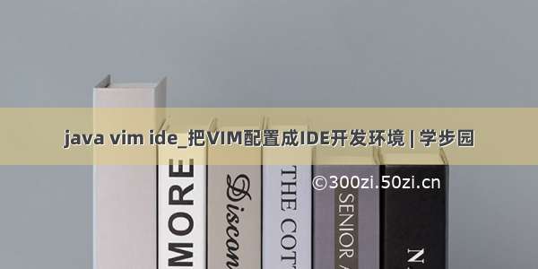 java vim ide_把VIM配置成IDE开发环境 | 学步园