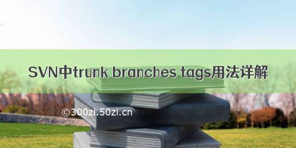 SVN中trunk branches tags用法详解