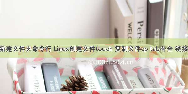 linux拷贝到新建文件夹命令行 Linux创建文件touch 复制文件cp tab补全 链接文件ln命令...