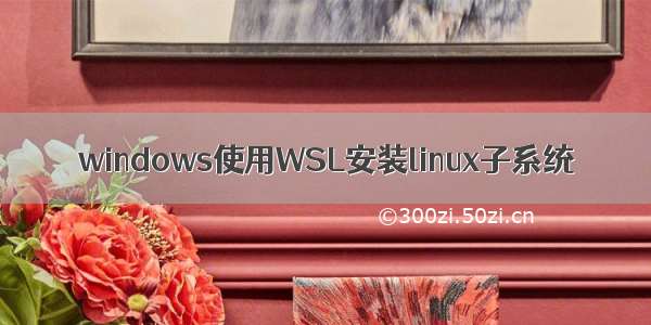 windows使用WSL安装linux子系统