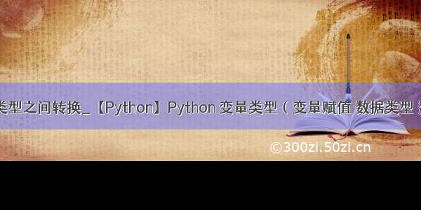 python变量类型之间转换_【Python】Python 变量类型（变量赋值 数据类型 数据转换）...