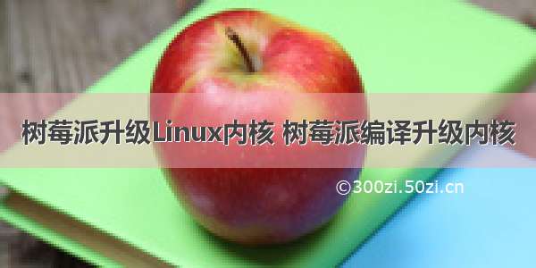 树莓派升级Linux内核 树莓派编译升级内核