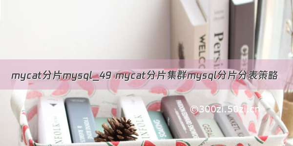 mycat分片mysql_49 mycat分片集群mysql分片分表策略