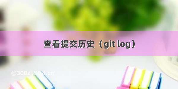 查看提交历史（git log）