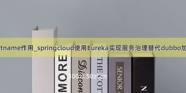 eureka hostname作用_springcloud使用Eureka实现服务治理替代dubbo加zookeeper