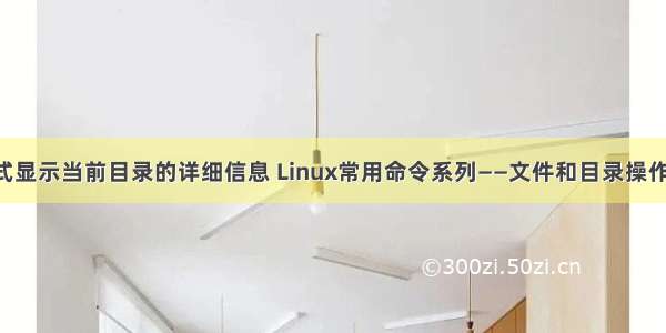 linux以长格式显示当前目录的详细信息 Linux常用命令系列——文件和目录操作命令（ls）...